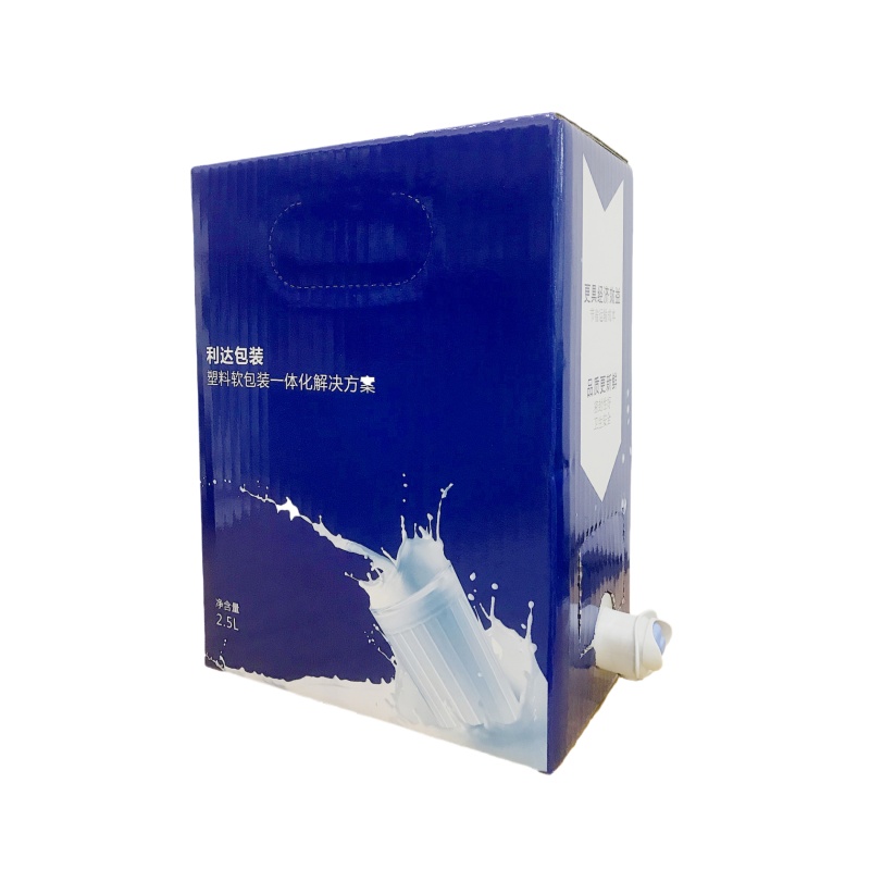 كيس في صندوق التعبئة والتغليف