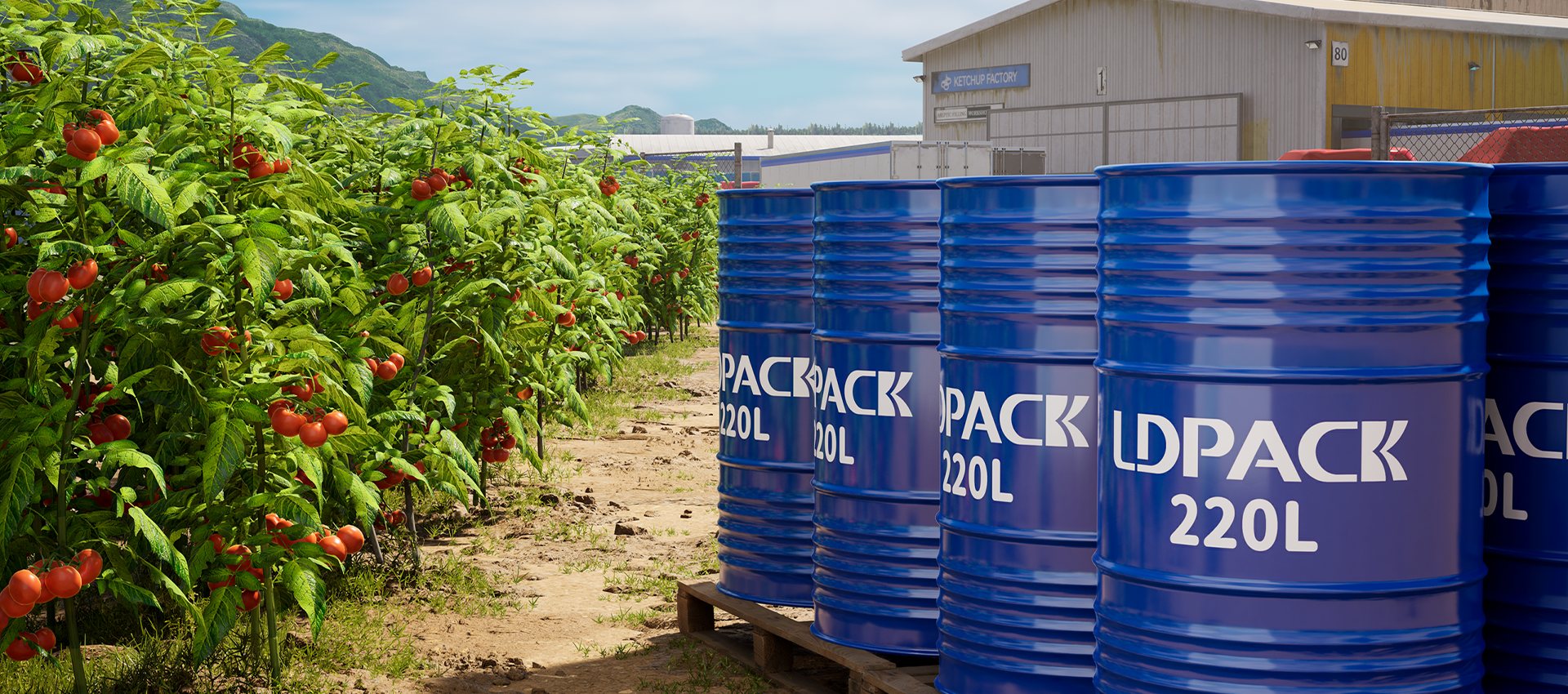 تغليف الكيس داخل الصندوق